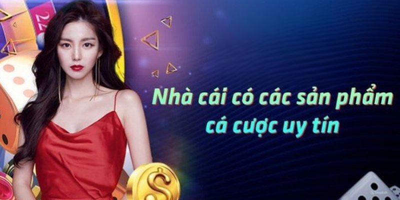 Thể loại giải trí hấp dẫn tại Kubet88